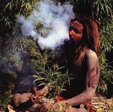 crazy rasta