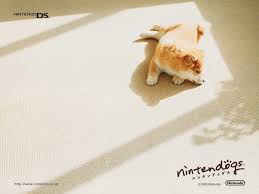 ninten dog
