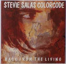 stevie salas colorcode