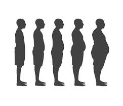 obesity rates graphs