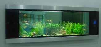 wall mounted fish tank