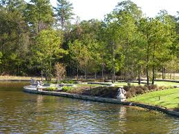 the woodlands