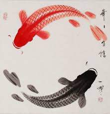 ying yang koi fish