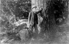 john muir yosemite