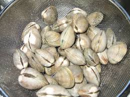 steamed clams