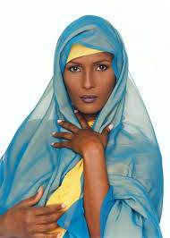 desert flower by waris dirie
