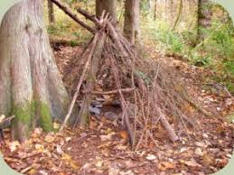 wilderness shelters