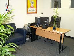 indoor bamboo