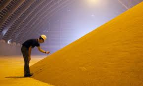 potash corp