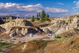 alberta dinosaur provincial park