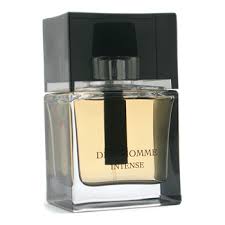 christian dior homme