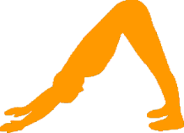 yoga downward dog