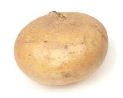 mexican yams