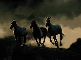 the wild horse