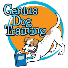 genius dog