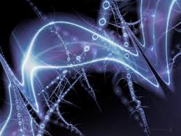 marine plankton