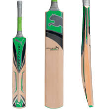 puma cricket bat