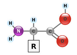amino mass