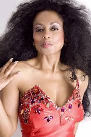 Diana Ross Lookalike
