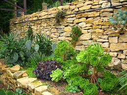 mediterranean garden designs
