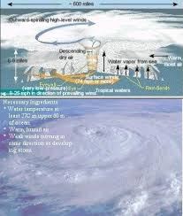 hurricanes and typhoons