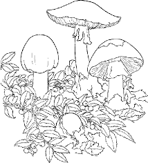 mushroom coloring pages