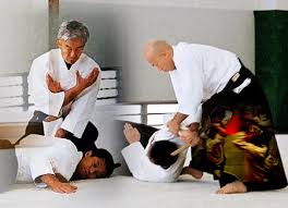 aikido