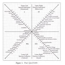 social systems