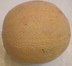 (Cantaloupe) Cantaloupes are a