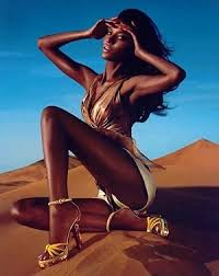 desert flower by waris dirie