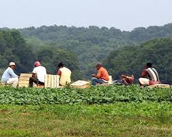 worker protection law