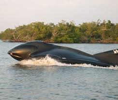wood power boats