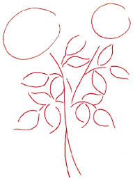 how to draw rose