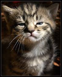 dont mess with me