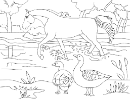 images à colorier animaux