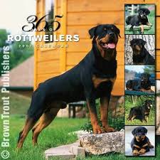 rottweiler calendars