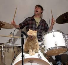 one cool cat