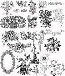 drawing flowers