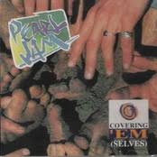 Pearl Jam - Covering 'em Selves
