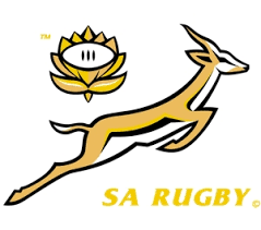 sa springboks