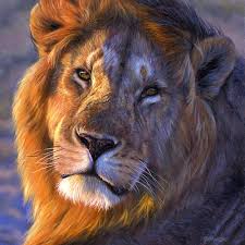 lion pic
