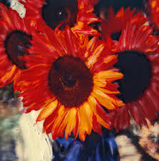 red sunflower pictures