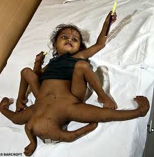 vishnu