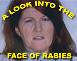the office rabies run