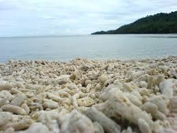 coral beach