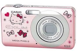 casio exilim cases