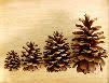wholesale pinecones