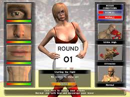 boxing simulator