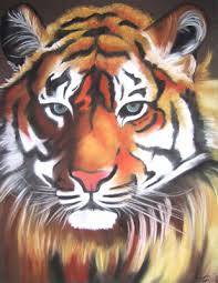 tigre photo