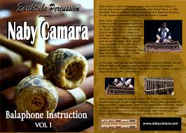 camara dvd